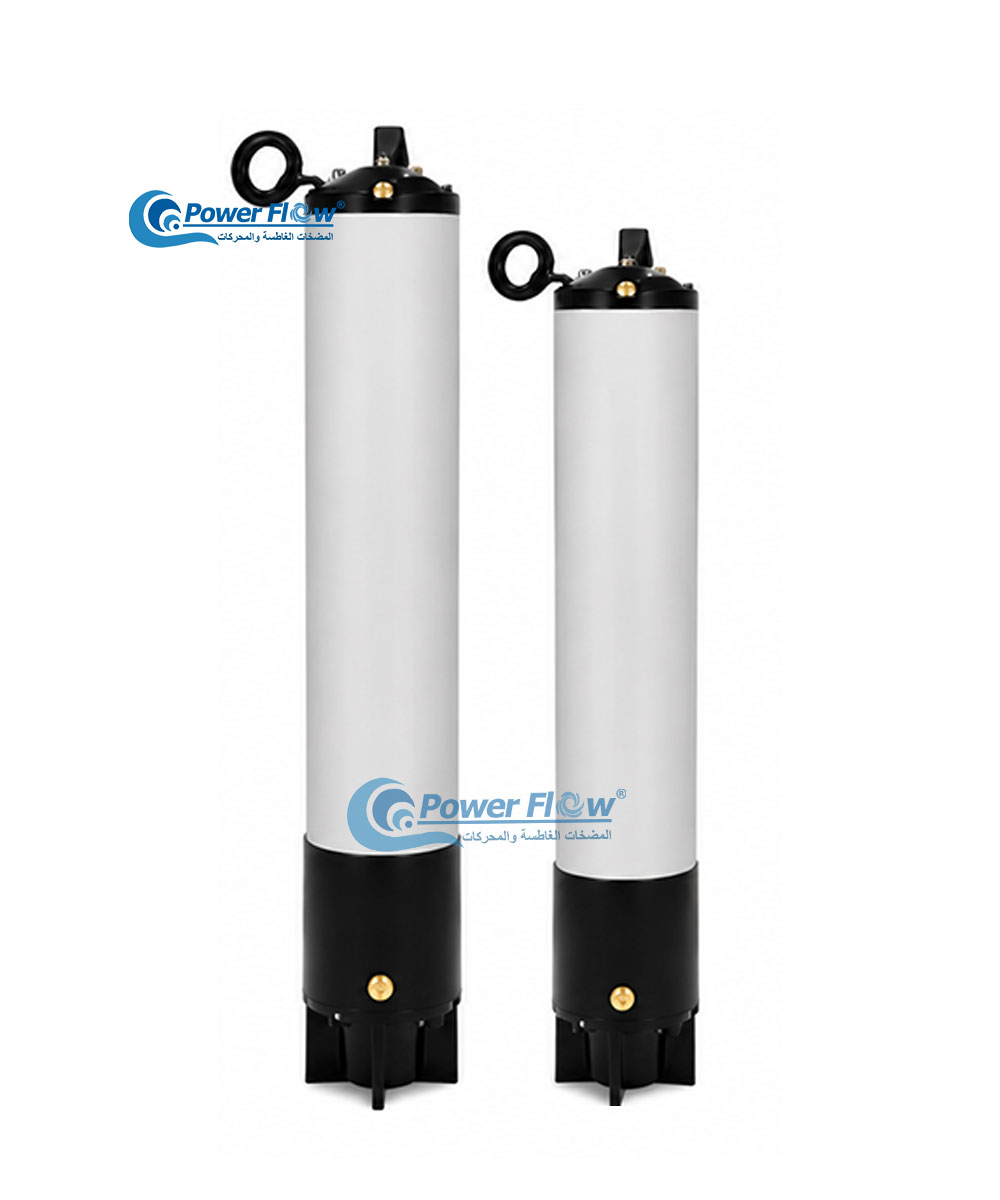 6PFM Submersible Motor